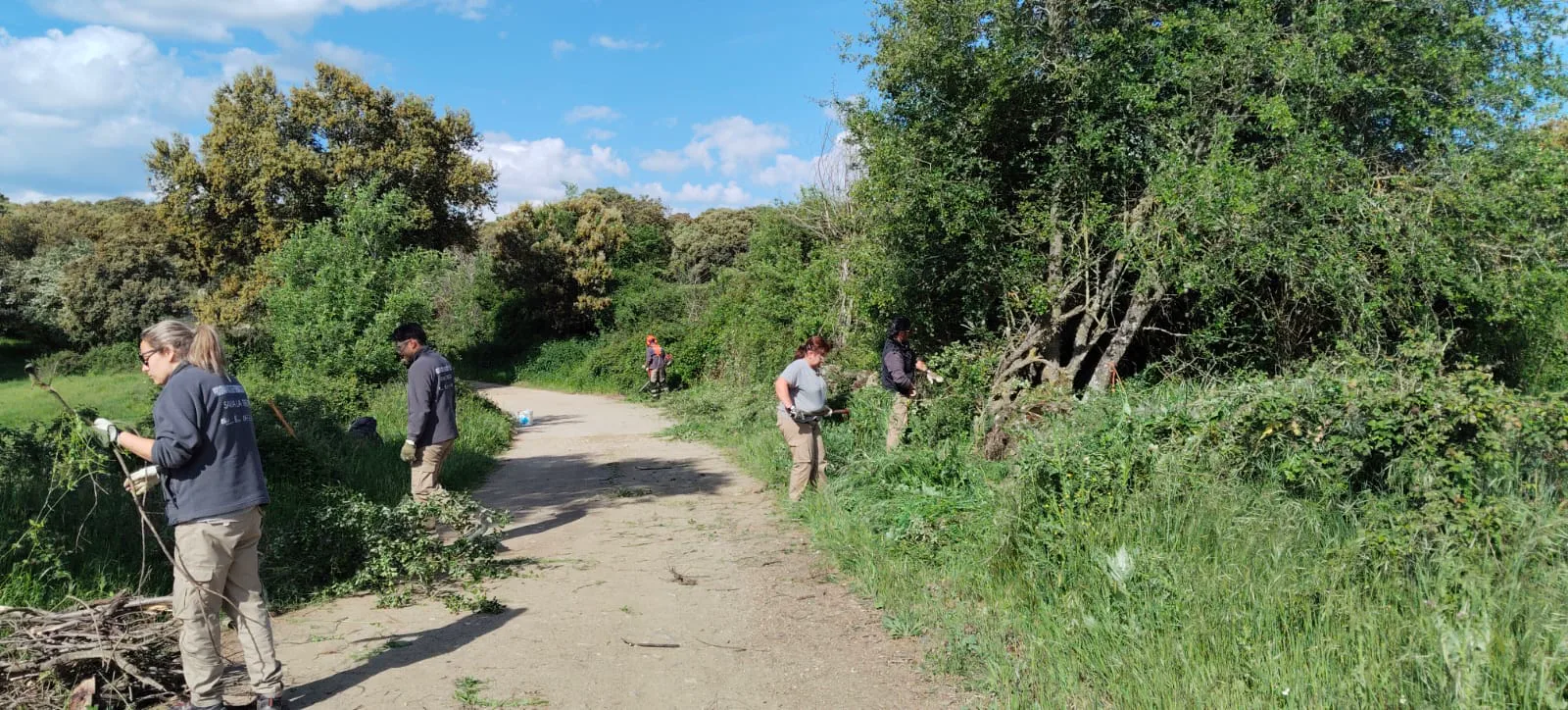 Participantes realizando trabajos de gestión forestal y mantenimiento de vegetación